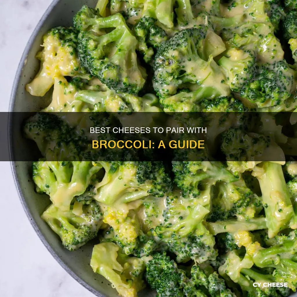 what kind of cheese goes on broccoli