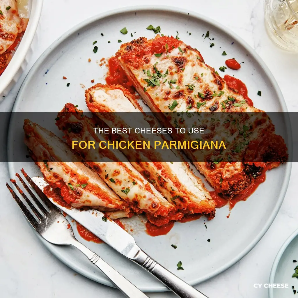 what kind of cheese goes on chicken parmigiana