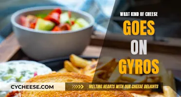 Cheese for Gyros: The Ultimate Guide to Toppings