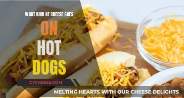 The Ultimate Guide to Choosing Cheese for Hot Dogs