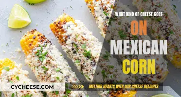 Cheese and Mexican Corn: The Perfect Pairing