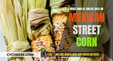 Cheese Options for Mexican Street Corn