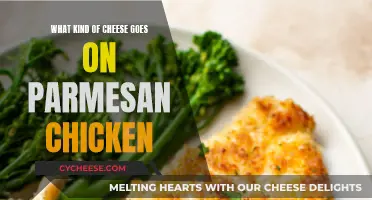 Parmesan Chicken: Which Cheeses Complement Parmesan?