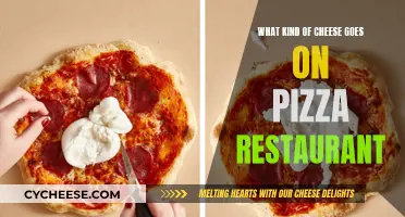 Cheese and Pizza: The Perfect Match for Restaurants