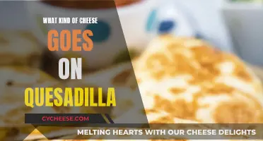 Cheese and Quesadillas: Perfect Melty Combinations