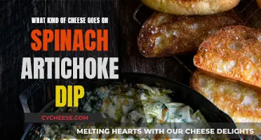 Spinach Artichoke Dip: Which Cheeses to Choose?