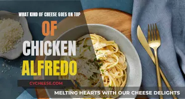 Best Cheeses to Sprinkle on Chicken Alfredo