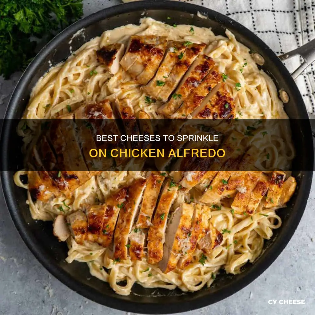 what kind of cheese goes on top of chicken alfredo