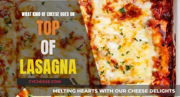 Lasagna's Cheesy Topping: Perfect Cheese Types and Tips