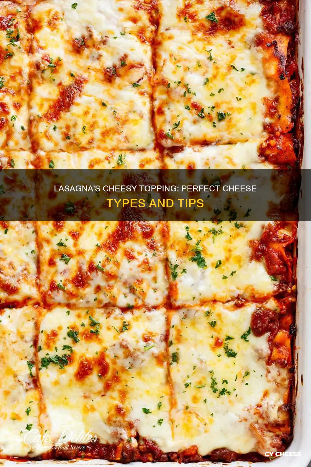 what kind of cheese goes on top of lasagna