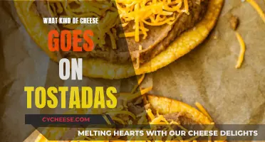 Cheese and Tostadas: The Perfect Melty Combination