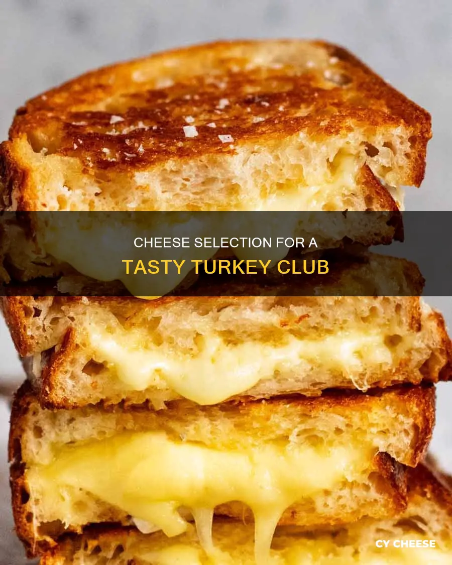 what kind of cheese goes on turkey club