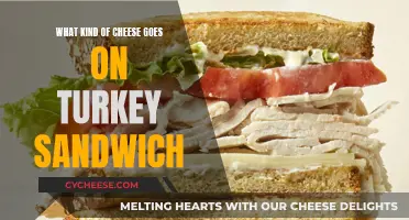 The Best Cheeses to Compliment a Turkey Sandwich