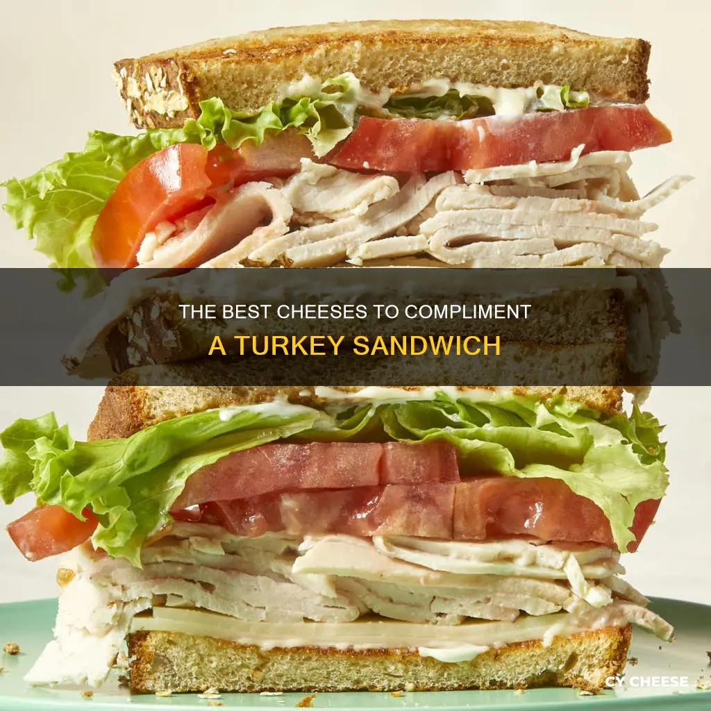 what kind of cheese goes on turkey sandwich