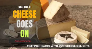 Cheese Pairing: Finding the Perfect Match for Your Dish