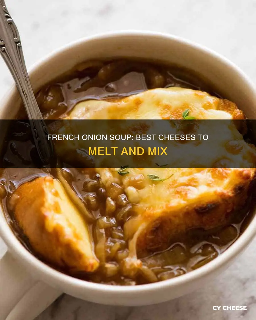 what kind of cheese goes over french onion soup