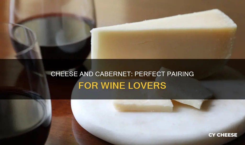 what kind of cheese goes well with cabernet sauvignon