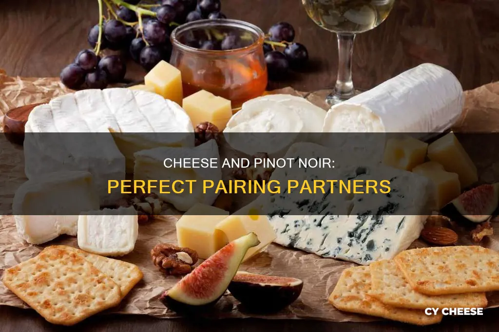 what kind of cheese goes well with pinot noir