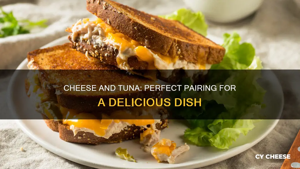 what kind of cheese goes well with tuna