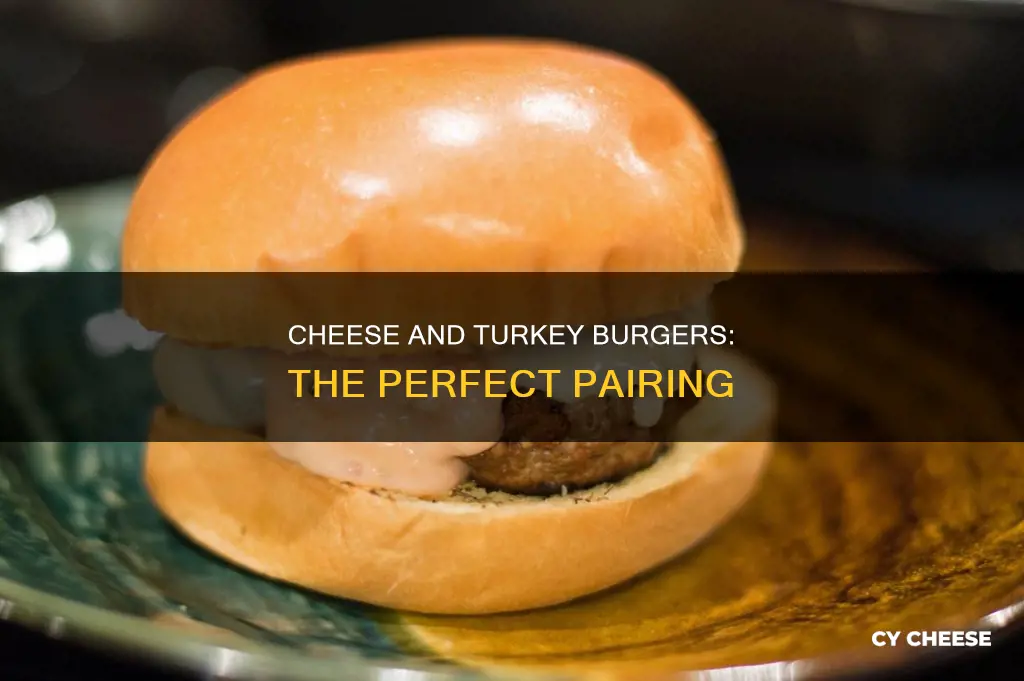 what kind of cheese goes well with turkey burgers