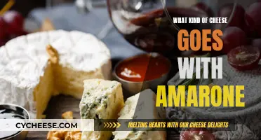 Cheese and Amarone: A Perfect Pairing Guide