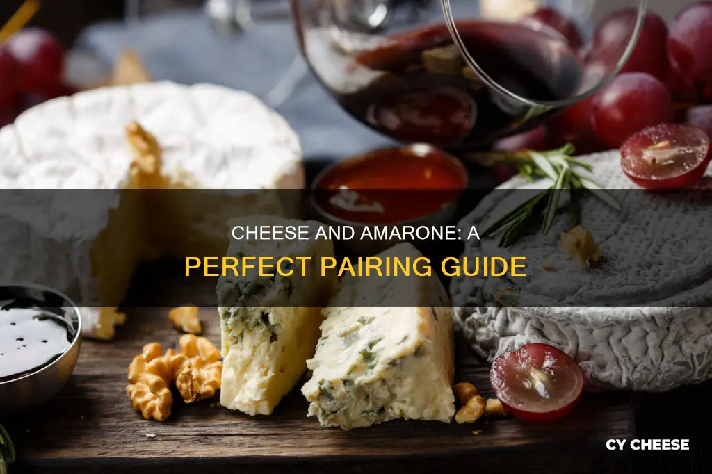 what kind of cheese goes with amarone