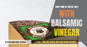 Cheese and Balsamic Vinegar: Perfect Pairing Partners