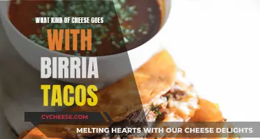 Cheese and Birria: The Perfect Taco Pairing