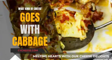 Cabbage's Cheesy Companions: Finding the Perfect Cheese Pairing