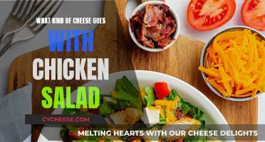 Best Cheeses to Compliment Chicken Salad