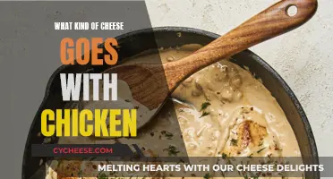 Chicken and Cheese: Perfect Pairing for Your Palate