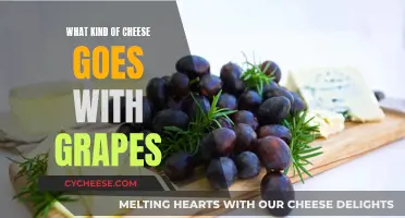 Cheese and Grape Pairing: Perfect Combos to Try