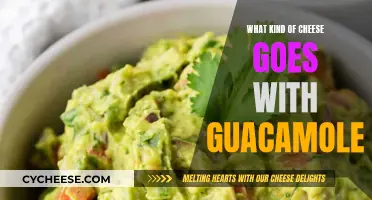 Guacamole's Best Cheese Companion: Finding the Perfect Match