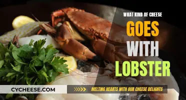 Lobster and Cheese: Perfect Pairing for a Delicious Dish