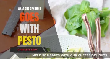 The Perfect Cheese Pairings for Pesto: A Guide