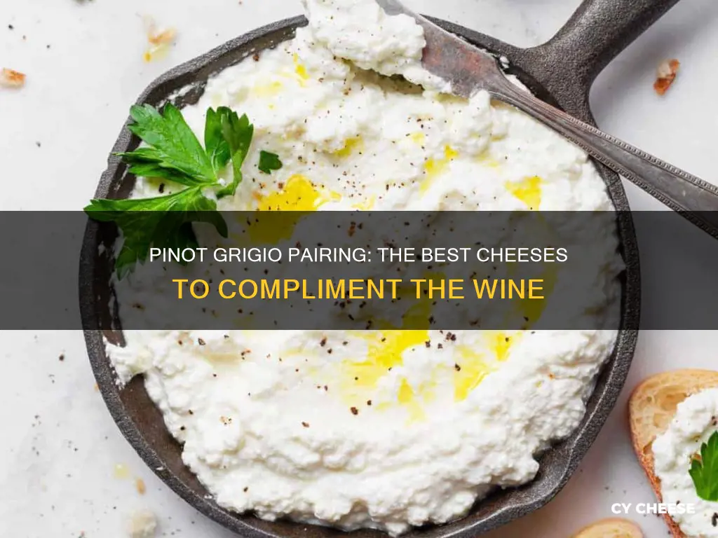 what kind of cheese goes with pinot grigio