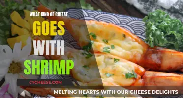 Cheese and Shrimp: Perfect Pairing or Food Faux Pas?