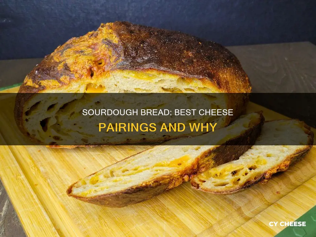 what kind of cheese goes with sourdough bread