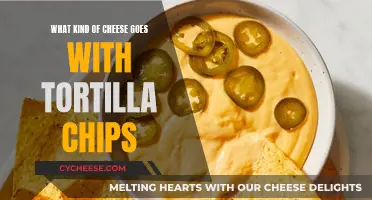 Crunchy Tortilla Chips and Cheesy Delights: Perfect Pairings