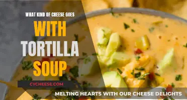 Cheese and Tortilla Soup: Perfect Pairing Ideas