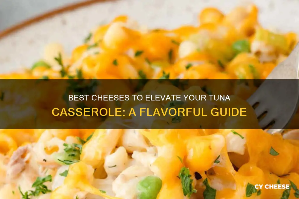 what kind of cheese good in tuna casseroe