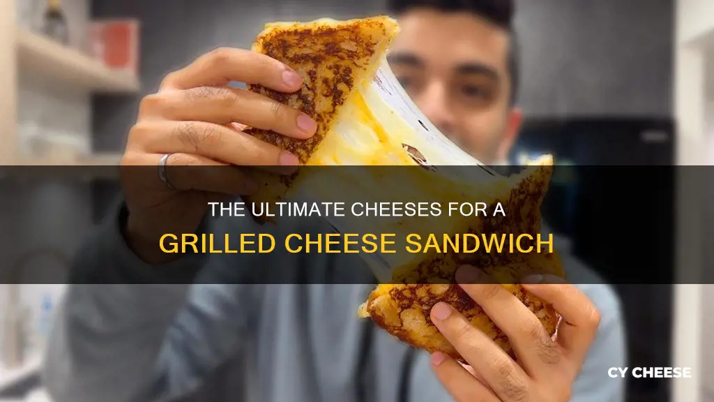 what kind of cheese grilled cheese