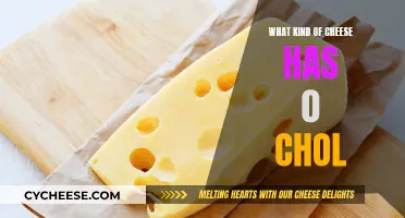 Cheese Lovers Rejoice: Zero-Cholesterol Cheeses to Try