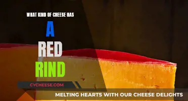 Exploring Cheeses With Red Rinds: A Tasty Adventure