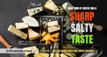 Sharp, Salty Cheeses: A Flavorful Adventure