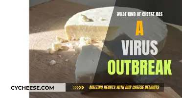 Virus Outbreak in Cheese: What You Need to Know