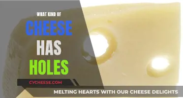 The Mystery of Cheeses With Holes: Unraveling the Swiss Wonder