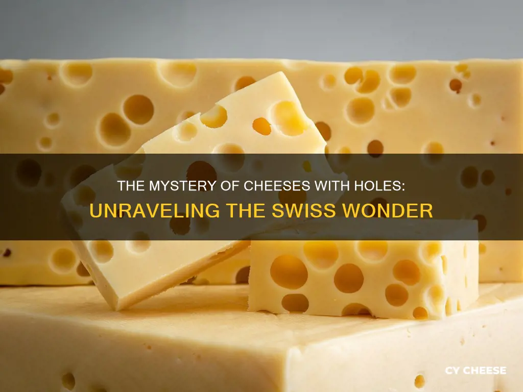 what kind of cheese has holes