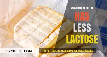 Cheese and Lactose: Which Types Have Lower Lactose?