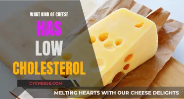 Cheese and Cholesterol: Choosing the Right Cheeses for Healthier Indulgence